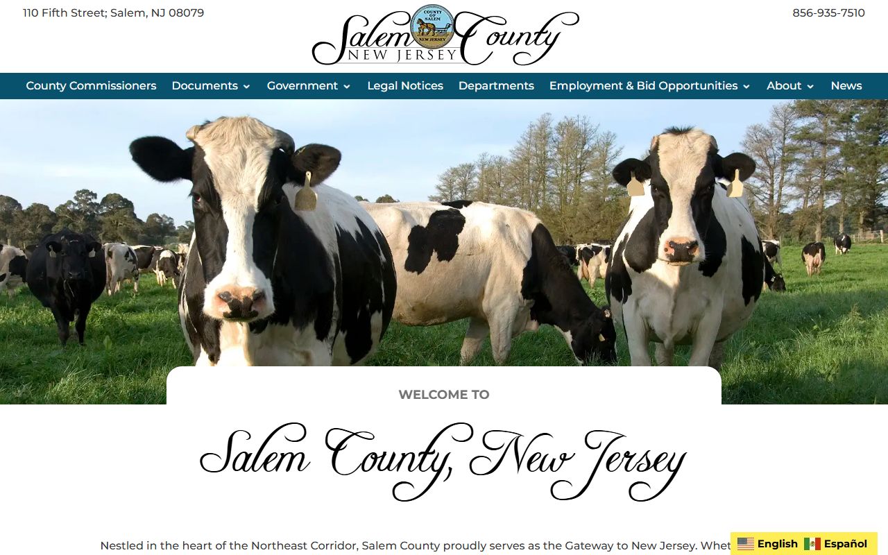 Salem County official website for accessing government records and felony data